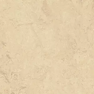 2713 calico