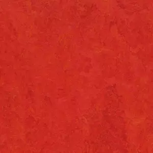 3131 scarlet