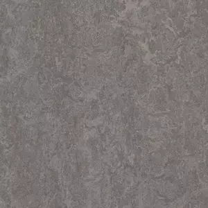3137 slate grey