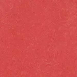 3263 rose