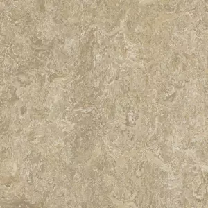 3234 forest ground