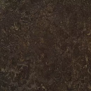 3236 dark bistre
