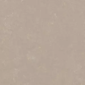 3708/370835 fossil *
