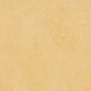 3846 natural corn