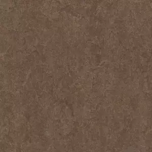 3874 walnut