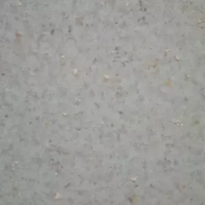 5504